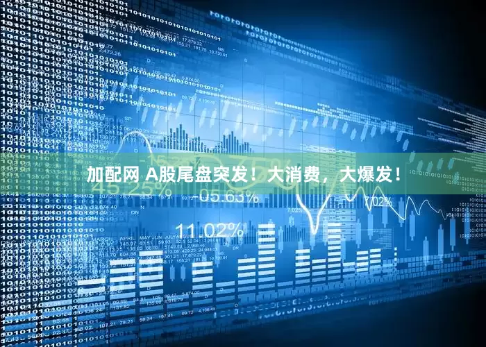 加配网 A股尾盘突发！大消费，大爆发！