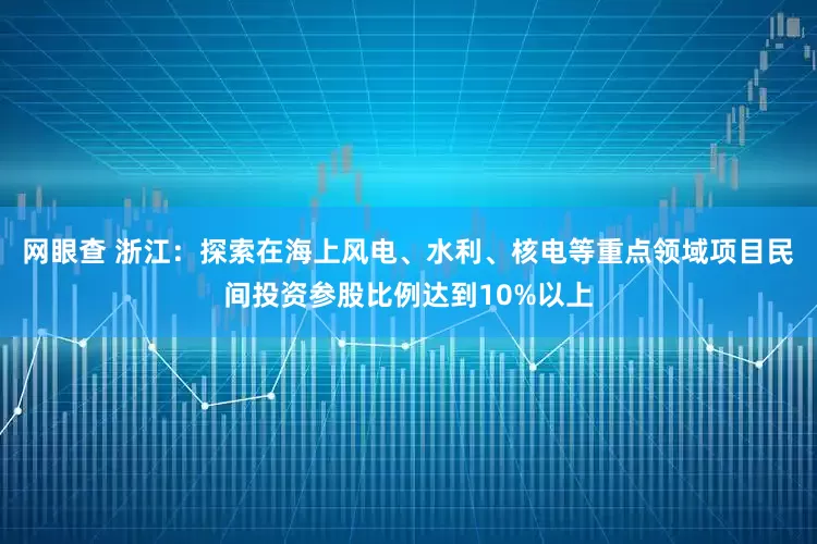 网眼查 浙江：探索在海上风电、水利、核电等重点领域项目民间投资参股比例达到10%以上