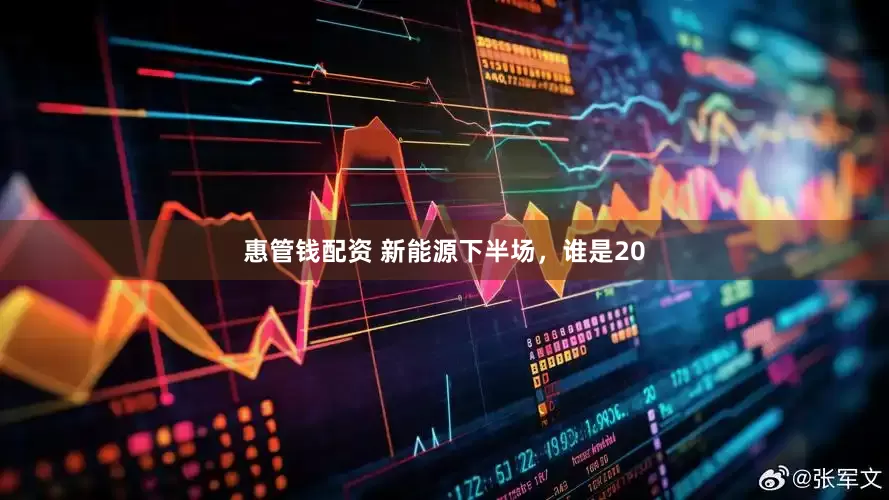 惠管钱配资 新能源下半场，谁是20
